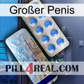 Großer Penis 39